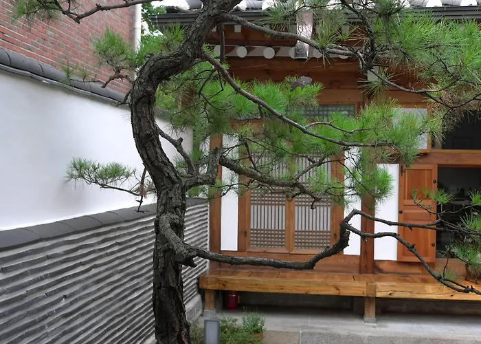 Renewal Open!!! Entire Place, Traditional Stay Xiwoo , 時雨 시우 한옥독채 Guest house